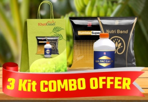  Banana Special Drip Kit Combo